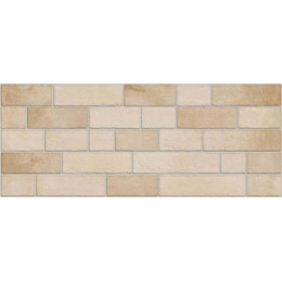 Malon Beige 20x50