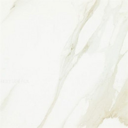 Evolutionmarble Calacatta Rett