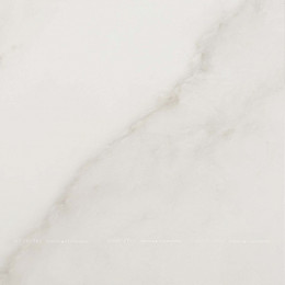 Evolutionmarble Calacatta Oro Rett