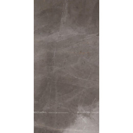 Evolutionmarble Grey Lu Rett