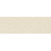 Gobi beige 25x75